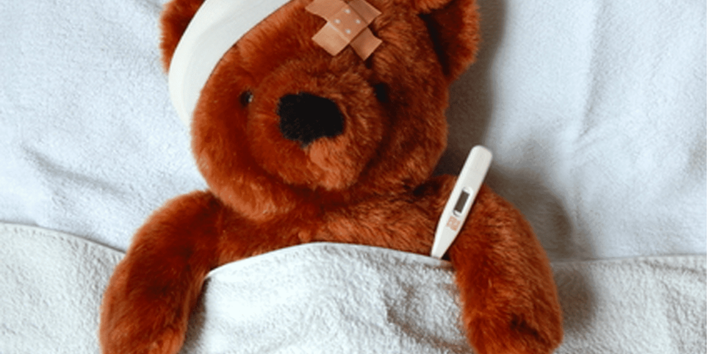 Our-Teddy-Bear-Clinic
